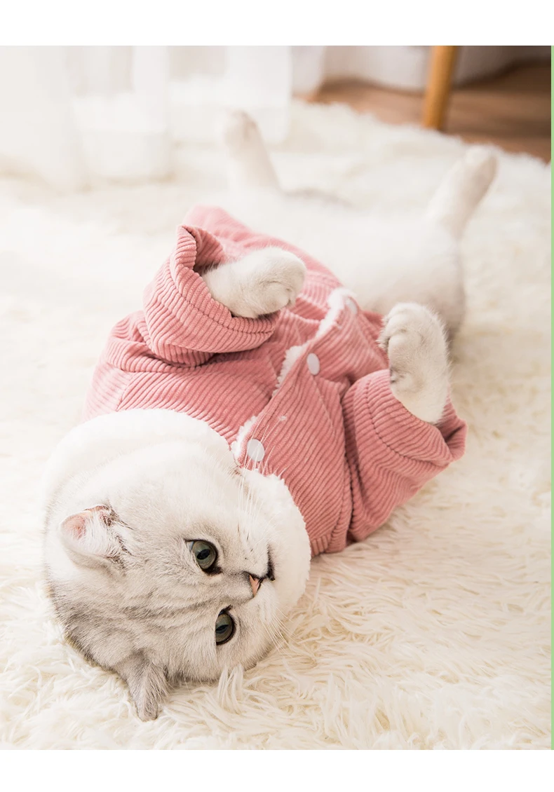Милая зимняя одежда с юбкой для кошек теплое пальто домашних животных щенков