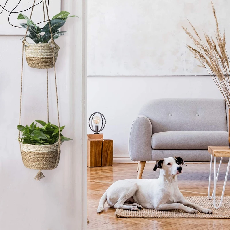 

Plants Hanging Planter Indoor, Hanging Pots for Plants Outdoor, Hanging Plants Basket Decorative Flower Pot Holder