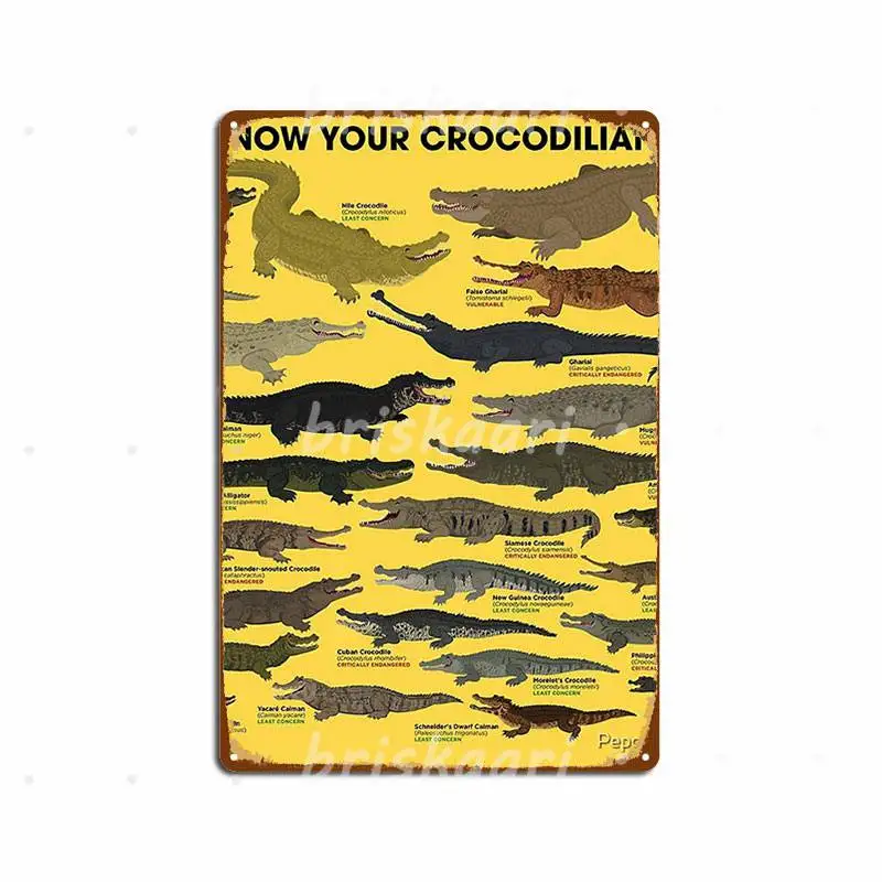 

Know Your Crocodilians Metal Signs Mural Painting Wall Personalized Club Home Metal Posters