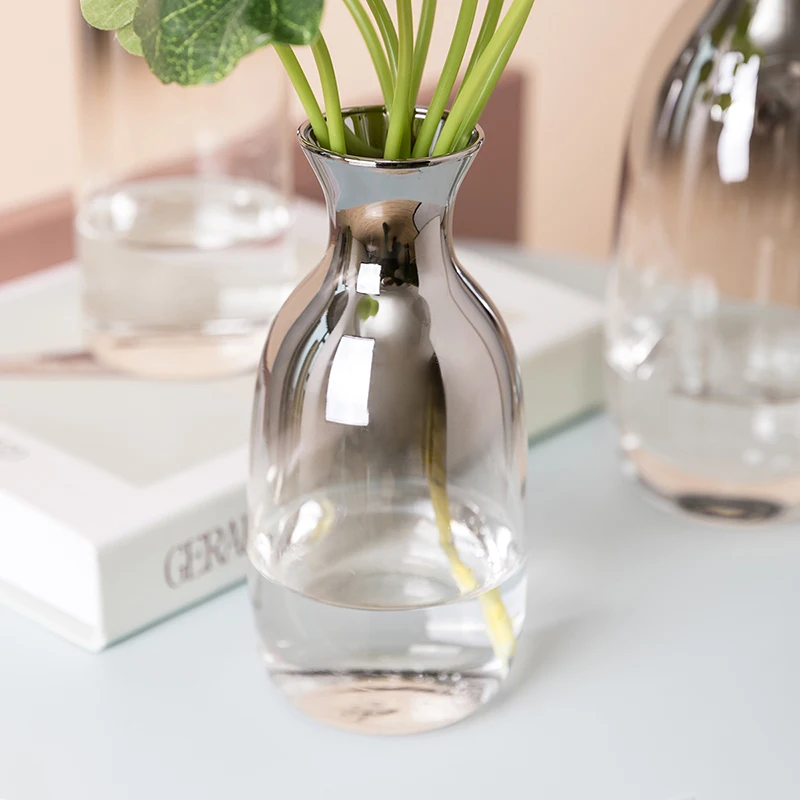 Скандинавская стеклянная ваза серебряный градиент сушеный скандинавский цветок