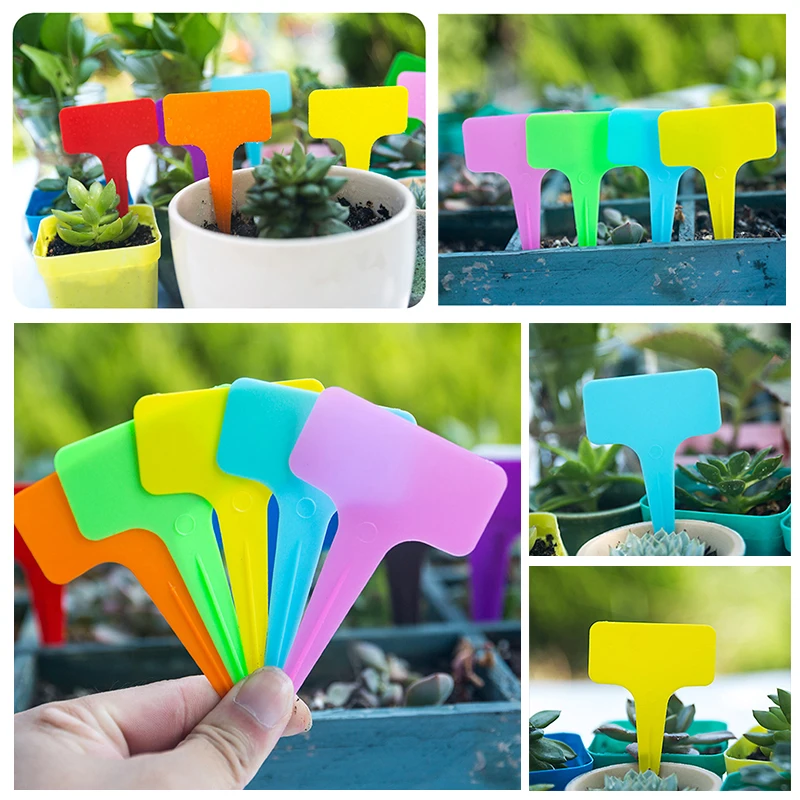 

50pcs 6x10cm White Plastic PVC Plant T-type Tags Markers Nursery Garden Labels Nursery Pots Garden Decoration Seedling Tray
