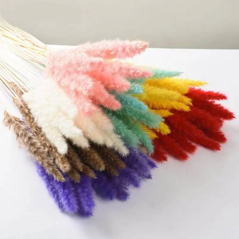 

10PCS Bulrush Natural Dried Flowers Artificial Plants Branch Colorful Lagurus Ovatus Real Flower Bouquet Diy Home Wedding Decor