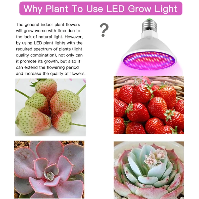 Рисунок 4 - Лампа светодиодная полного спектра