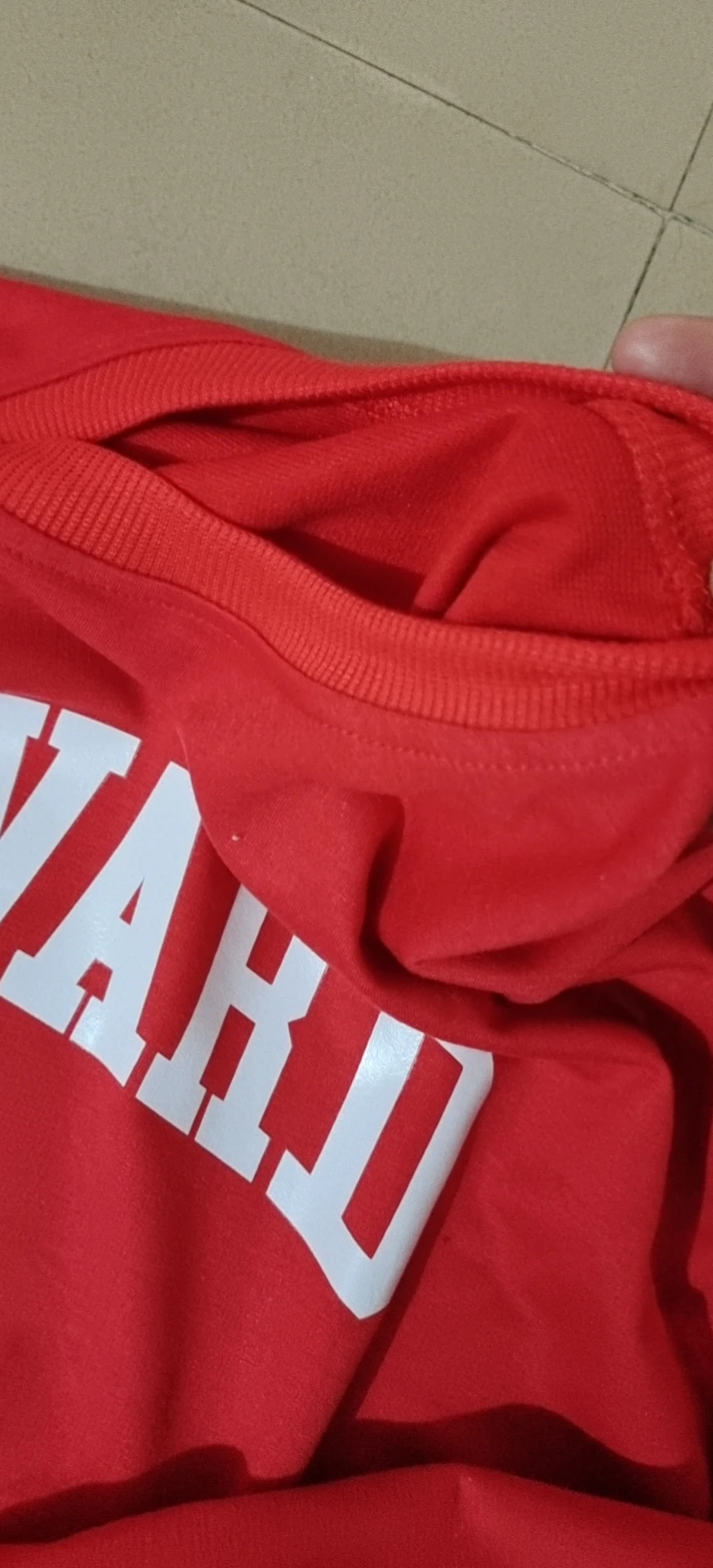 Женский Свитшот оверсайз красный с принтом в американском Гарвардском стиле