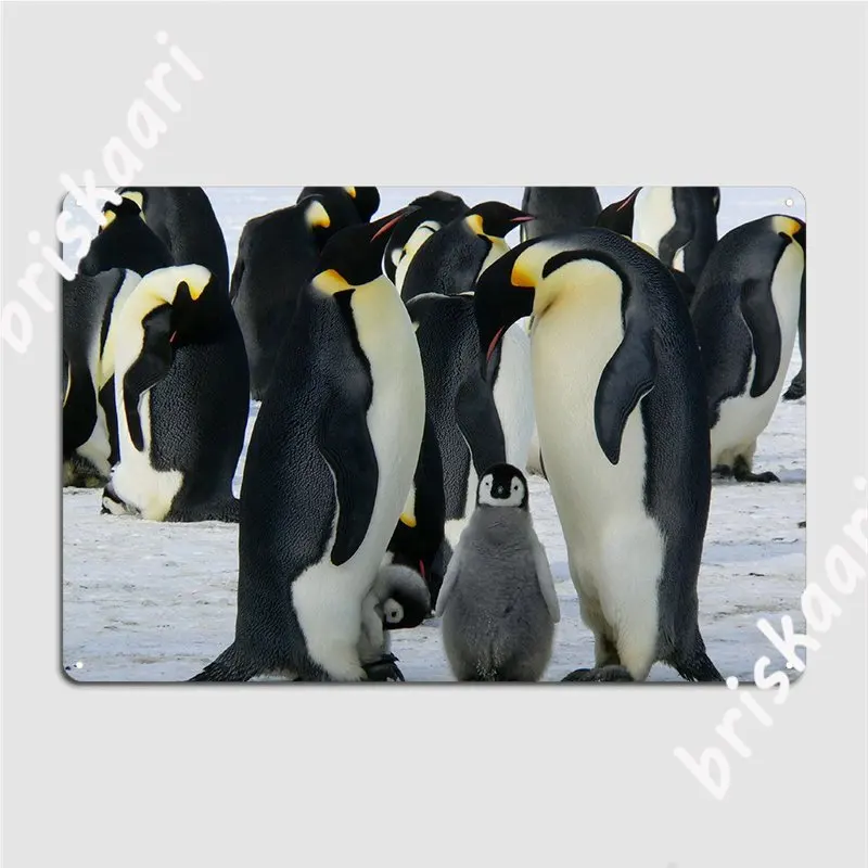 

Penguins Metal Plaque Poster Club Bar Plates Wall Pub Retro Tin Sign Poster