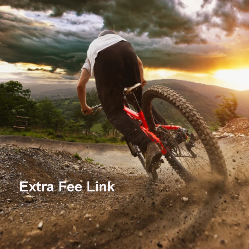 

Ссылка на дополнительную оплату