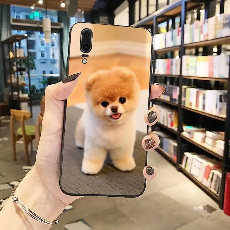 

Pomeranian Lovely cute Cute coque cover Phone Case For Huawei honor Mate P 10 20 30 40 Pro 10i 9 10 20 8 x Lite