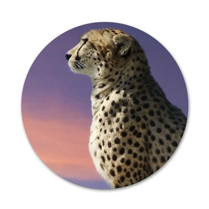 Значки с леопардовым рисунком для украшения одежды рюкзака подарка | Дом и сад