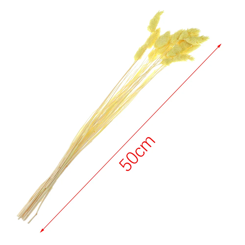 20 шт. натуральные высушенные цветы с градиентом для свадьбы пасхального кролика