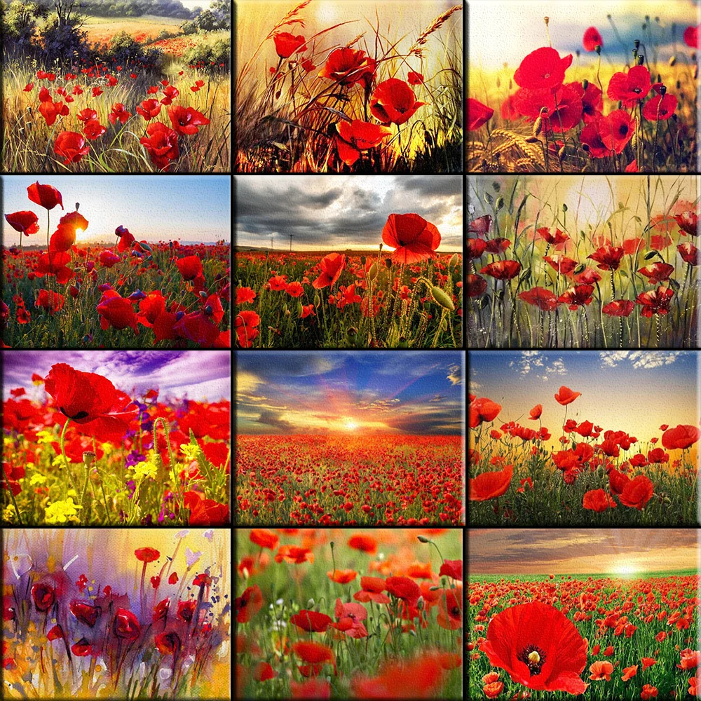 

5D Diamond Painting Flower Poppy In The Wind Cross Stitch Full Drill Embroidery Picture Of Rhinestones Home Decor Unique Gift