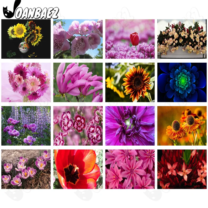 

Diamond Painting Old-Fashioned Sunflower 5Ddiy Wall Art Pink Flower Stickers Diamond Embroidery Home Room Decoration Accessories