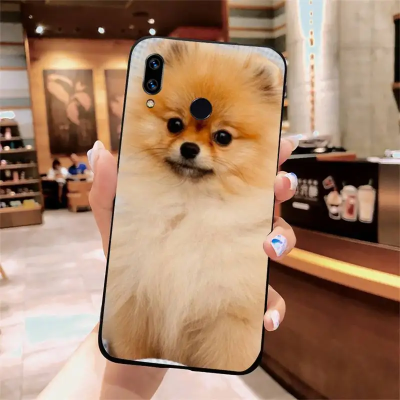 

Pomeranian dogs dog cute animal Phone Case For Xiaomi Redmi Note 4 4x 5 6 7 8 pro S2 PLUS 6A PRO