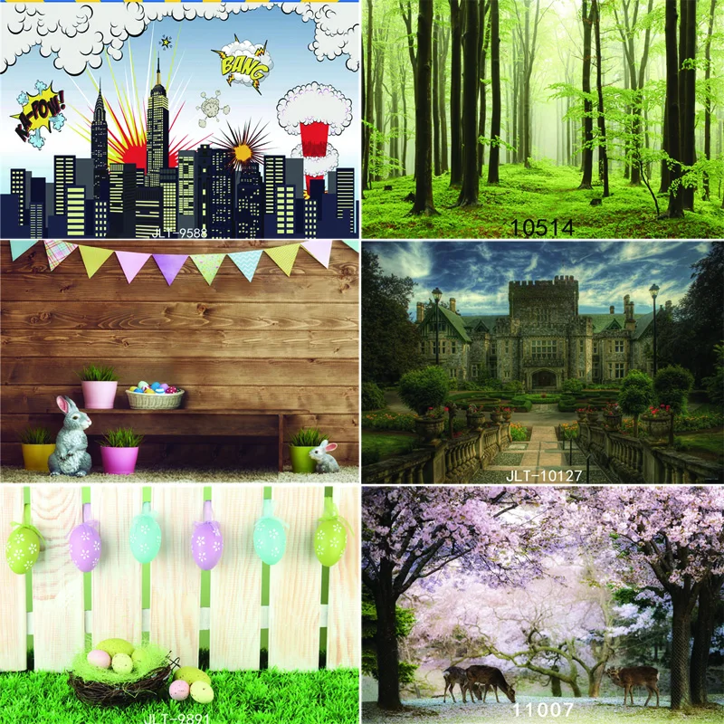 

Vinyl Custom Photography Backdrops Prop scenery Theme Photography Background JL-08