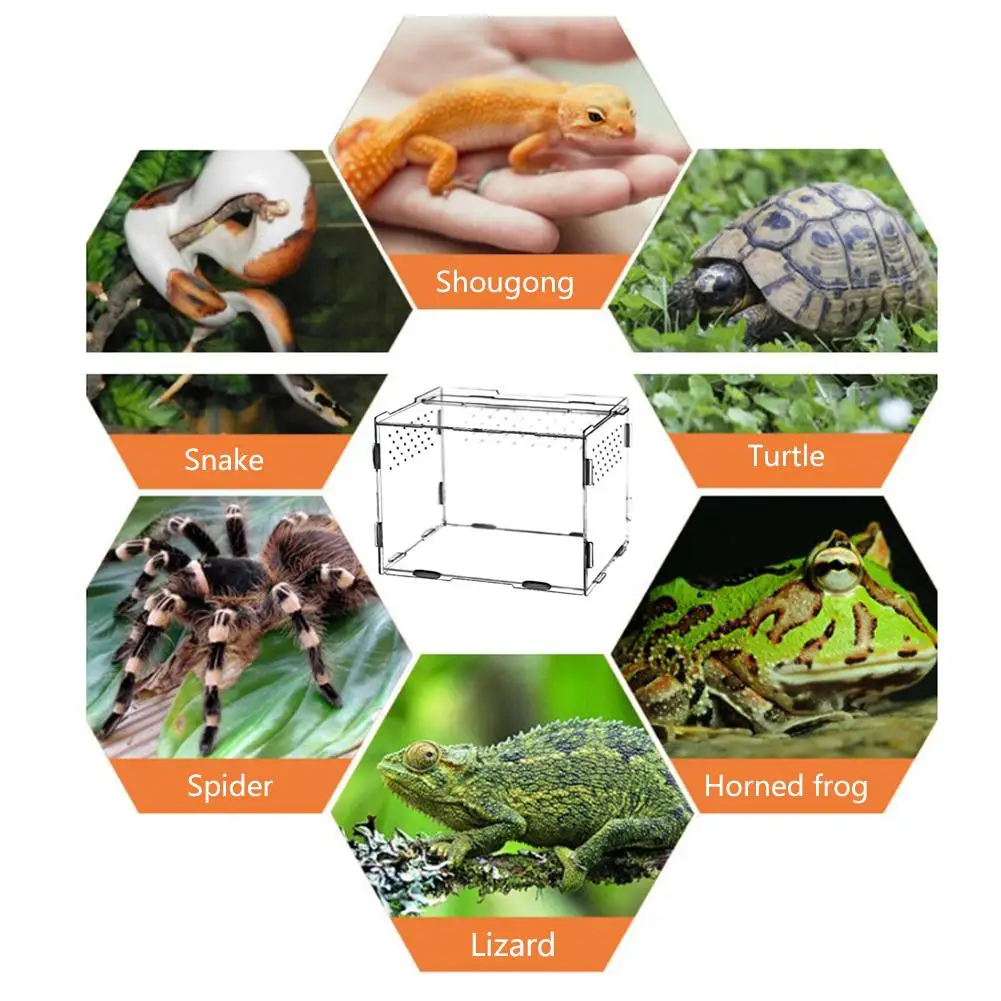 Acrylic Reptile Feeding Box Insect Lizard Spider Breeding Cage Hatching Container All-round Transparent |