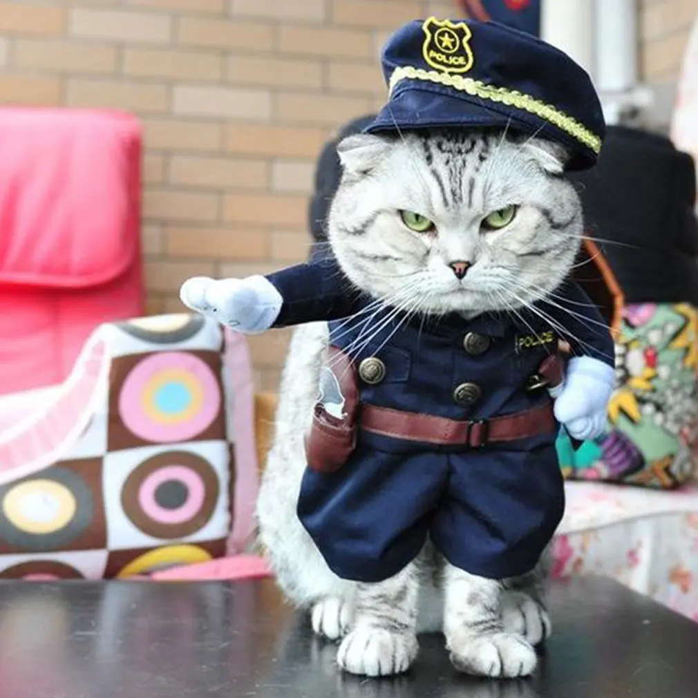 Мягкий и дышащий прекрасный дизайн большое использование Косплей