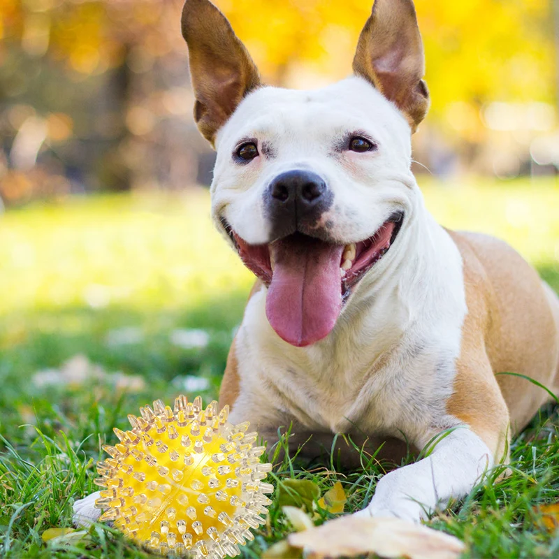 Игрушки для домашних питомцев зубная щетка животных палочка чистки зубов
