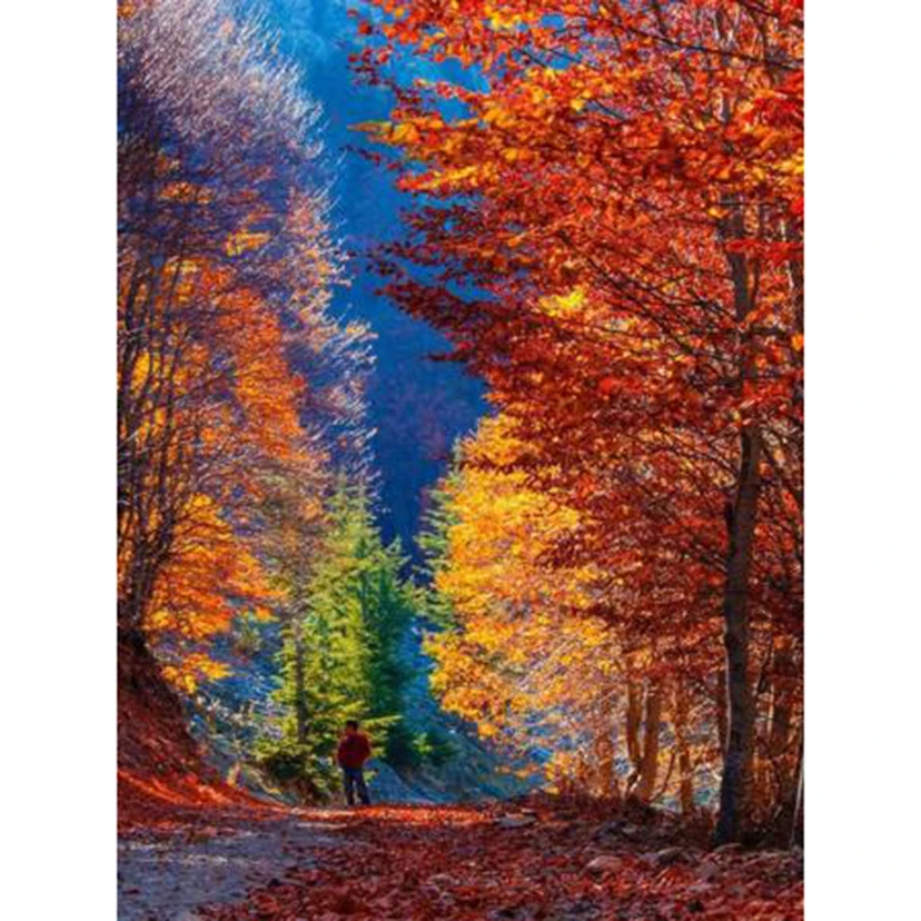 

5D DIY Diamond Painting Square/Round Diamond Forest Character Picture Landscape Painting Cross Stitch Embroidery Artwork TX281