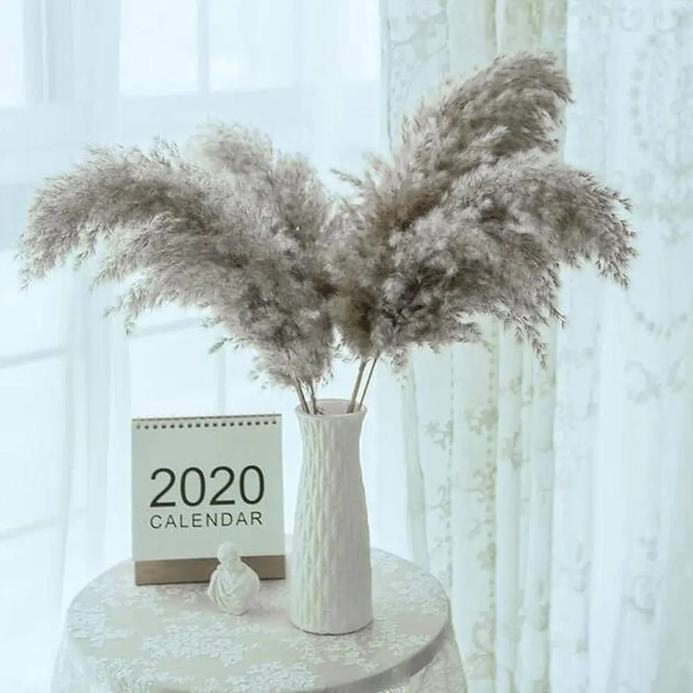 1 шт. пампасной травы Phragmites бонсай натуральные сухие растения Цветочная