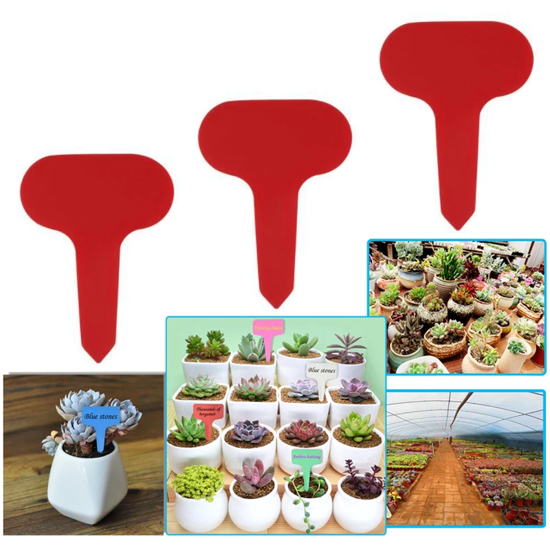 50 шт. маркеры для растений рассадник ярлыки фруктов и овощей рассада тег T Тип