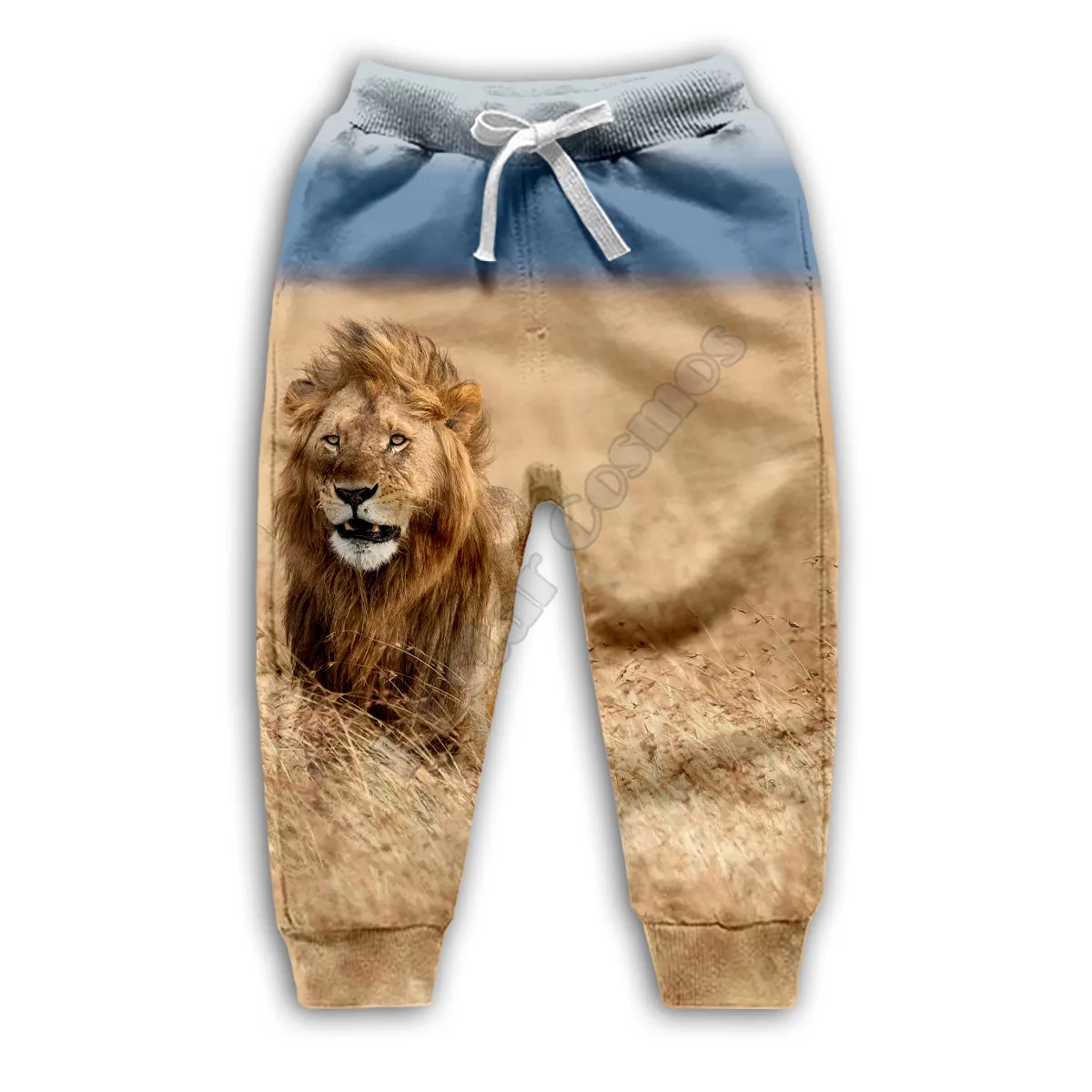 

Kid Lion 3D Golden Retriever print hoodies child baby boy girl clothing autumn Sweatshirt zipper jacket tshirt Pant Shorts 04