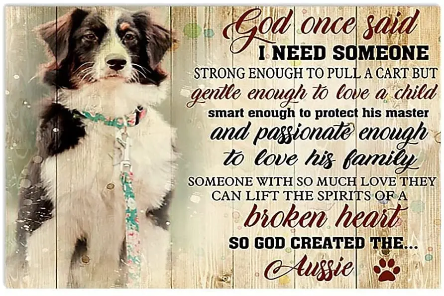 

Постер на стену с изображением собаки и домашнего животного, 8 х12 дюймов