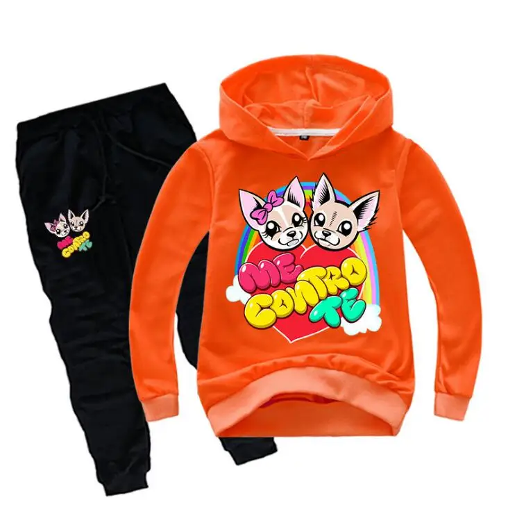 Детский спортивный костюм из двух предметов толстовка с капюшоном и штаны |