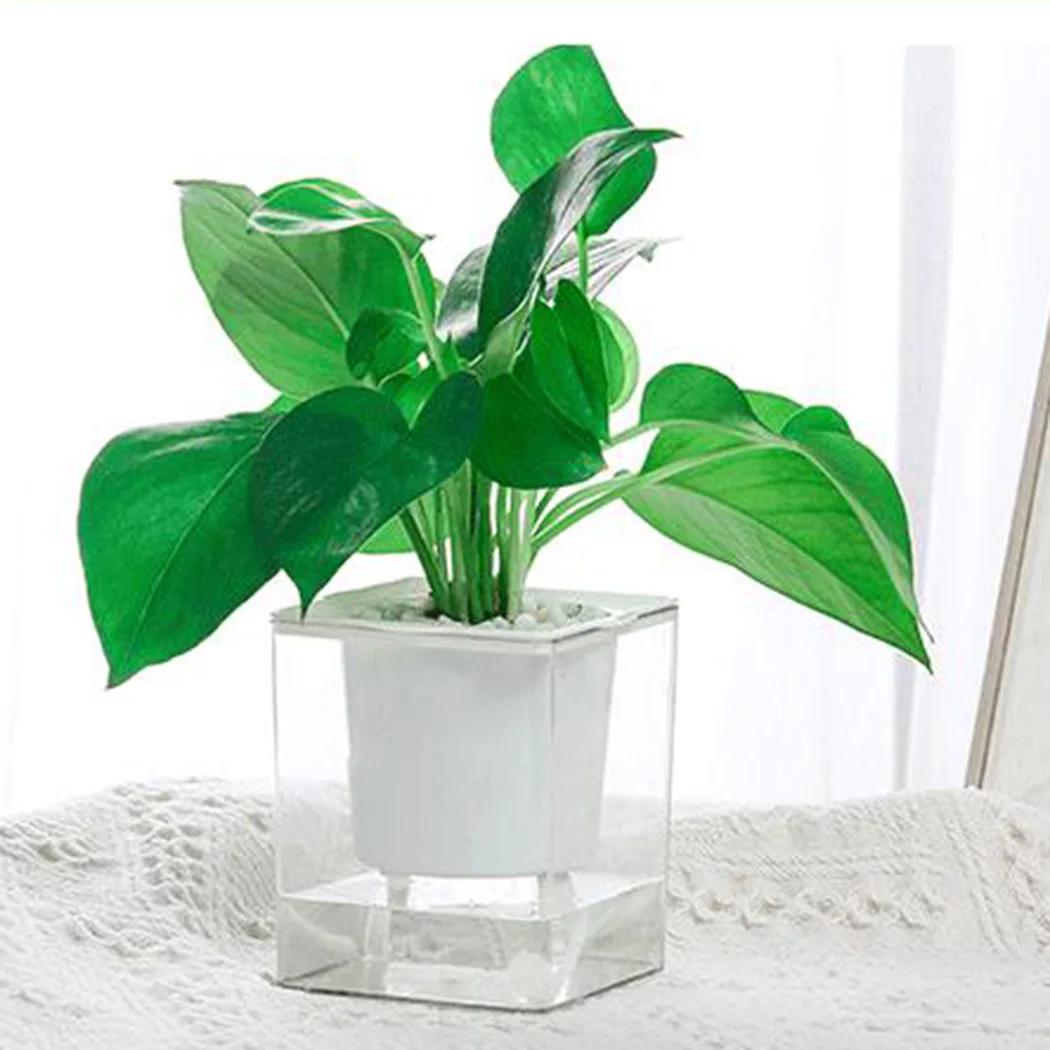 

Automatic Visible water level flower pot Transparent flower pot Transparent