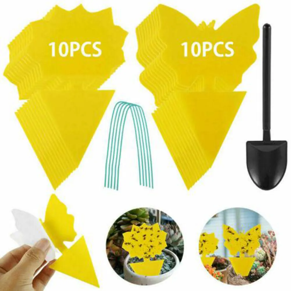 

12*8*0.2cm Sticky Trap 41 Pcs Aphids Butterfly Catch Catcher Glue Insect
