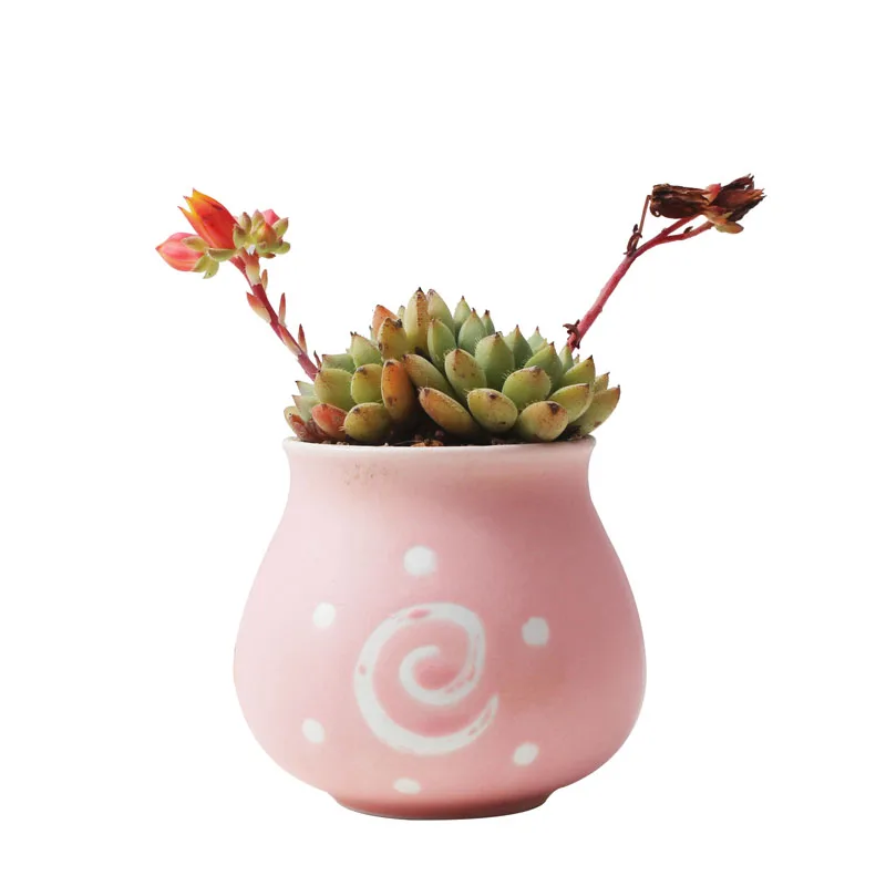 Керамический горшок Sublight розового цвета мясистый цветочный для молодых девушек