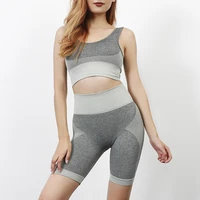 2 pcs gym set workout seamless suit women sport bras top fitness shorts sports pants wear gym clothing athletic yoga set