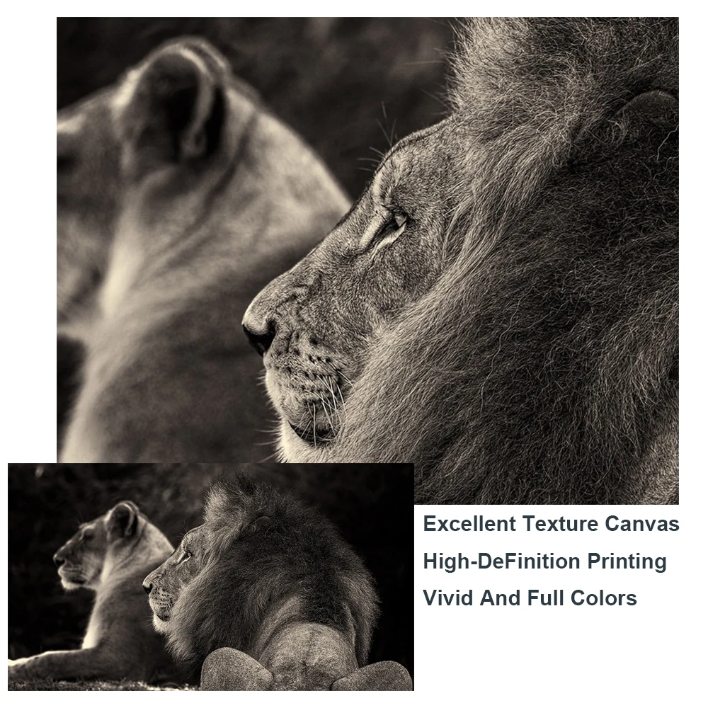 Африканские Дикие Львы семейный холст художественные плакаты и принты черный