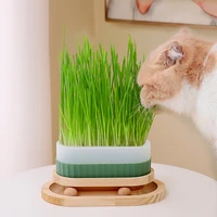 2 in 1 2 layers wood pet cat wheat grass planter cat toy with rotating track ball furniture cat claw scratching board sisal toy