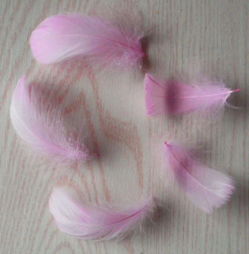 20 шт. декоративные серьги с гусиными перьями 4-8 см | Дом и сад