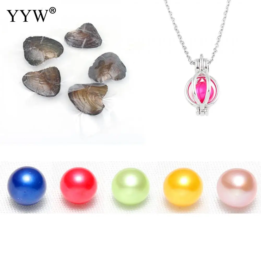 

Вакуумная упаковка жемчуга желаний Устрица мишура Эдисона 7-8 мм разноцветная с ожерельем 9,8 дюйма подарок на день рождения 5 шт./лот