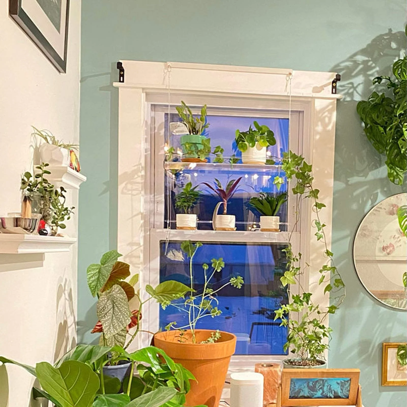 

Window Plant Flower Pot Vase Rack Holder Hanger Flower Pot Storage Rack Shelf Transparent Acrylic Garden Hanging Flower Holder