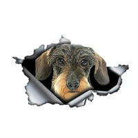 Hot Sell Wire Haired Dachshund Vinyl Car Stickers Camper Sticker Decal Waterproof Accessories for JDM SUV RV VAN