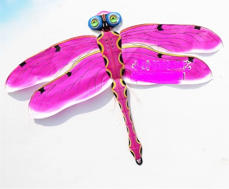 Змей планер. Полет на дельтаплане. Планер bradex птерозавр. Воздушные змеи. Змей планер.