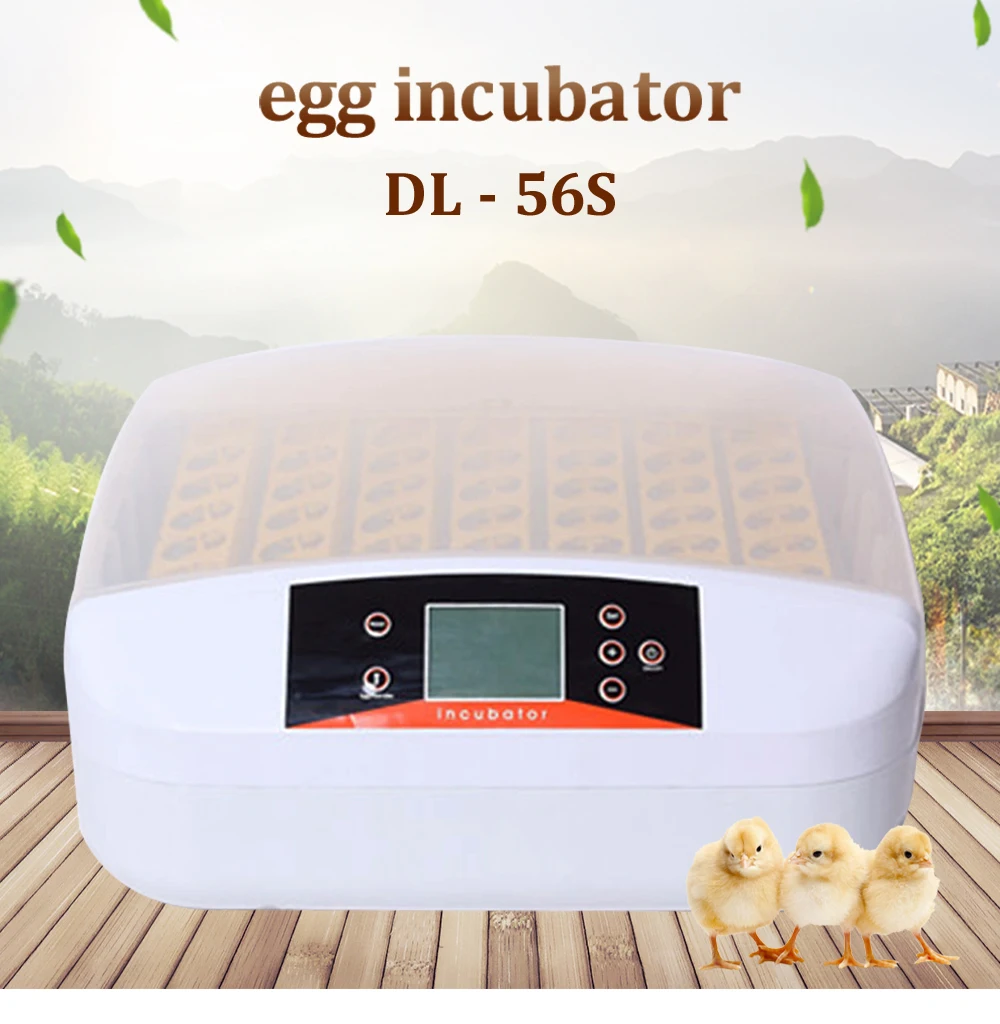Новый 56 яичный инкубатор яйца Брудер Температура автоматический инкубационный