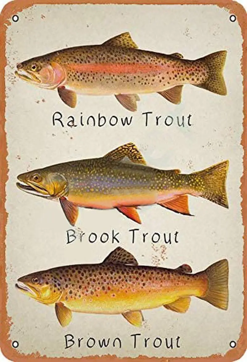 

Rainbow Trout Brook Trout Brown Trout Retro Metal Tin Sign Vintage Aluminum Sign for Home Coffee Wall Decor 8x12 Inch