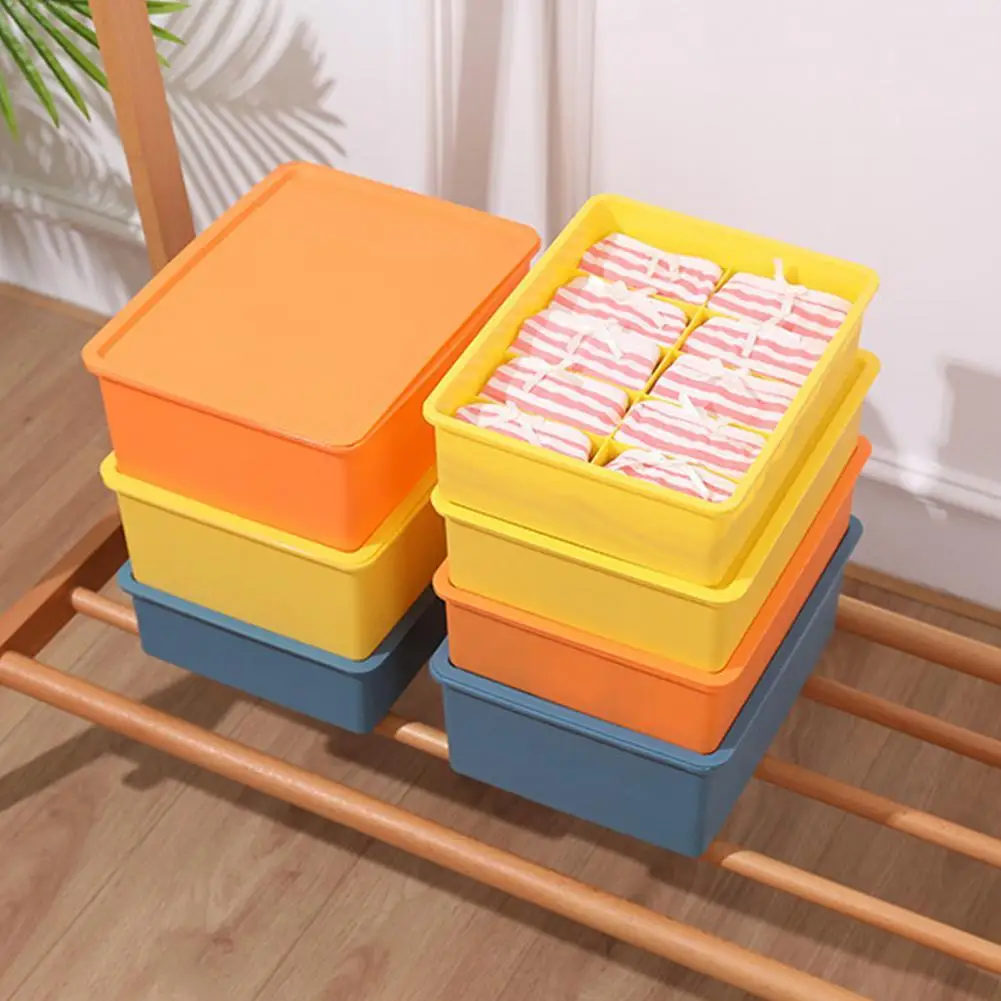 

Underwear Container Practical 10 Grids Individual Compartment Multi-purpose Socks Bra Organizer for Home