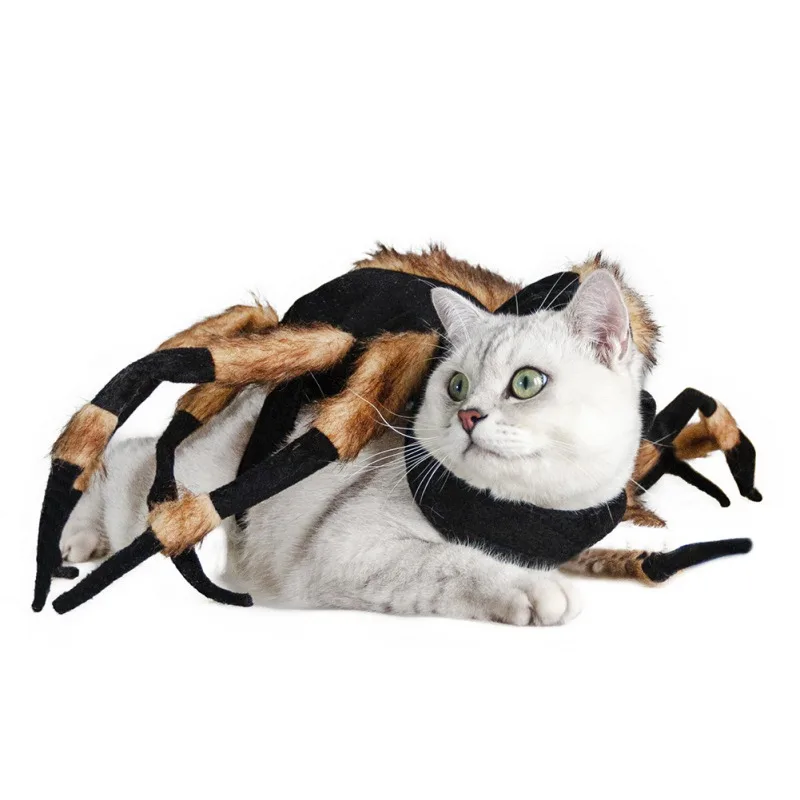 

Pet Dog Cat Halloween Spider Clothes For Funny Spider Costumes Dressing Up Pet Clothes Party Pet Halloween Props Accessories
