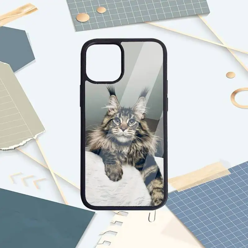 

Cute animal pet maine coon cat Phone Case PC For iPhone 11 12 pro XS MAX 8 7 6 6S Plus X 5S SE 2020 XR