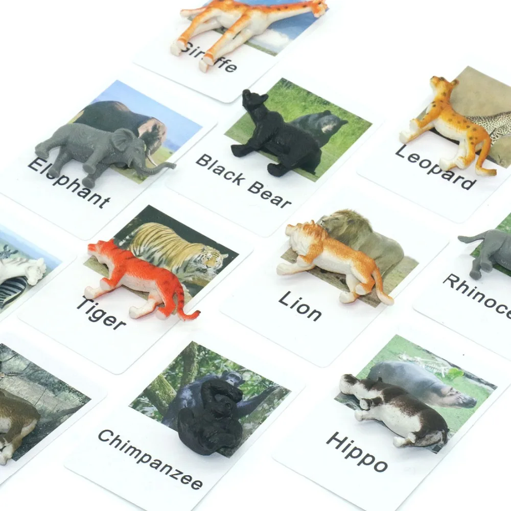 

Montessori PVC Cards African Animals Language Learning Cards Objects Educational Toys for Children Juguetes Montessori ME1564H