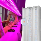 Светодиодные ленты Greensindoor для фитоламп, лампа полного спектра для выращивания растений, Led ленты с двойной трубкой, 50 см