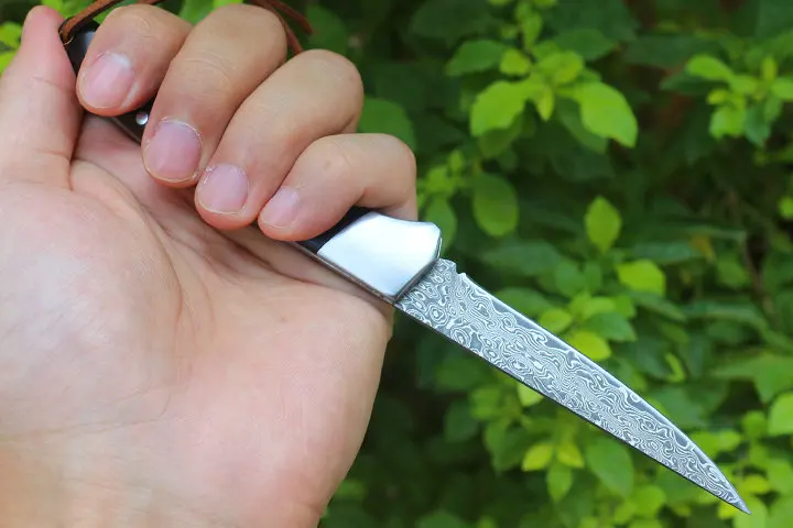 

Folding Damascus Knife Outdoor For Self-Defense Hunting Knife Camping Fishing Sharp Kitchen Multi EDC Tool Ebony Wood Handle