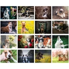 Алмазная живопись сделай сам, картина с животными, овчиной, играющая с квадратными, круглыми стразами, настраиваемое настенное украшение