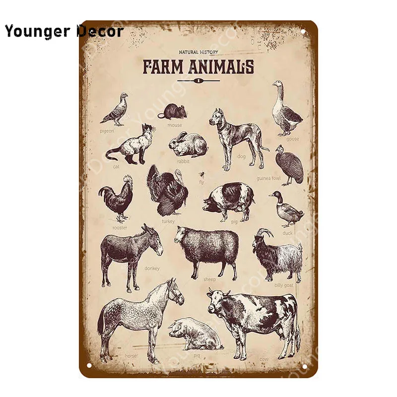 Рынок свежих яиц молочный металлический знак магазин кафе домашний Настенный