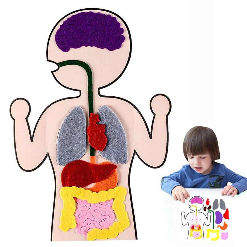 Kids Early Education Toys Human Organ Cognition DIY Weave Cloth Sticky Montessori Toys For Baby Children Learning Art Craft Toy