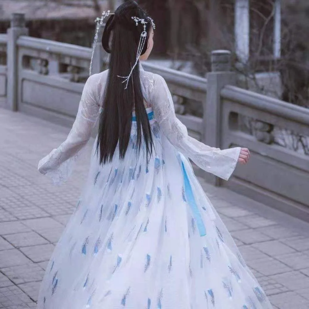 

2020 Traditional Hanfu Dance Costume Women Dynasty Costume Chinese Costume Oriental Dress Ancient Princess Clothing for Women
