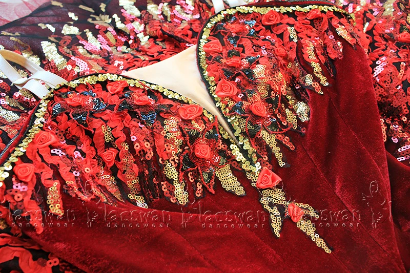 Черно-бордовый Лебединое озеро зло сказочная классическая профессиональная